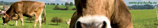 Ogrodzenia dla zwierząt, pastuchy elektryczne, elektryzatory
