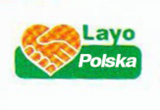 Import towarów - przedstawicielstwo przedsiębiorcy zagranicznego