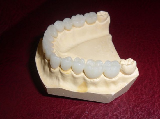 szkoła technik dentystyczny